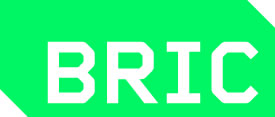 bric logo