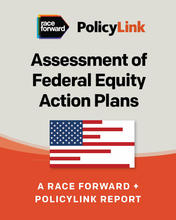 Cover for Assessment of Federal Equity Action Plans with flag of United States with red stripes partially running across flag in staggered lengths.